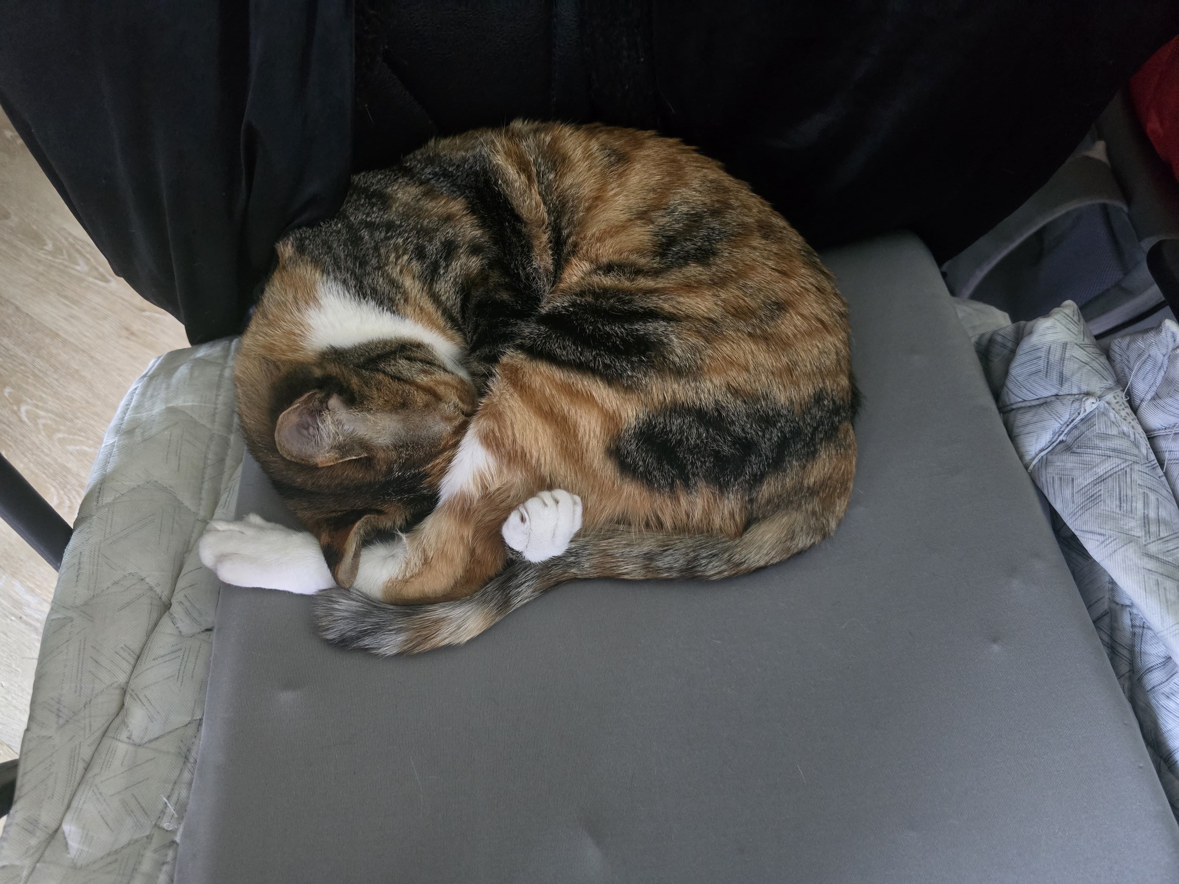 Attachment