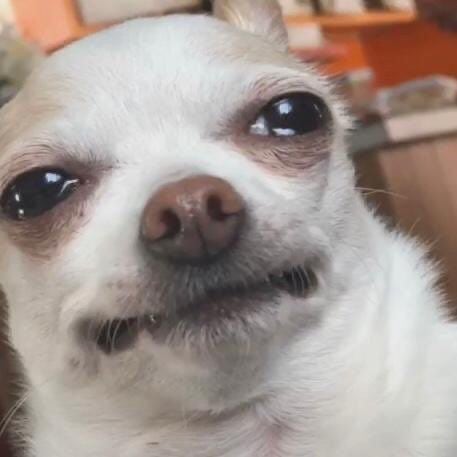Attachment