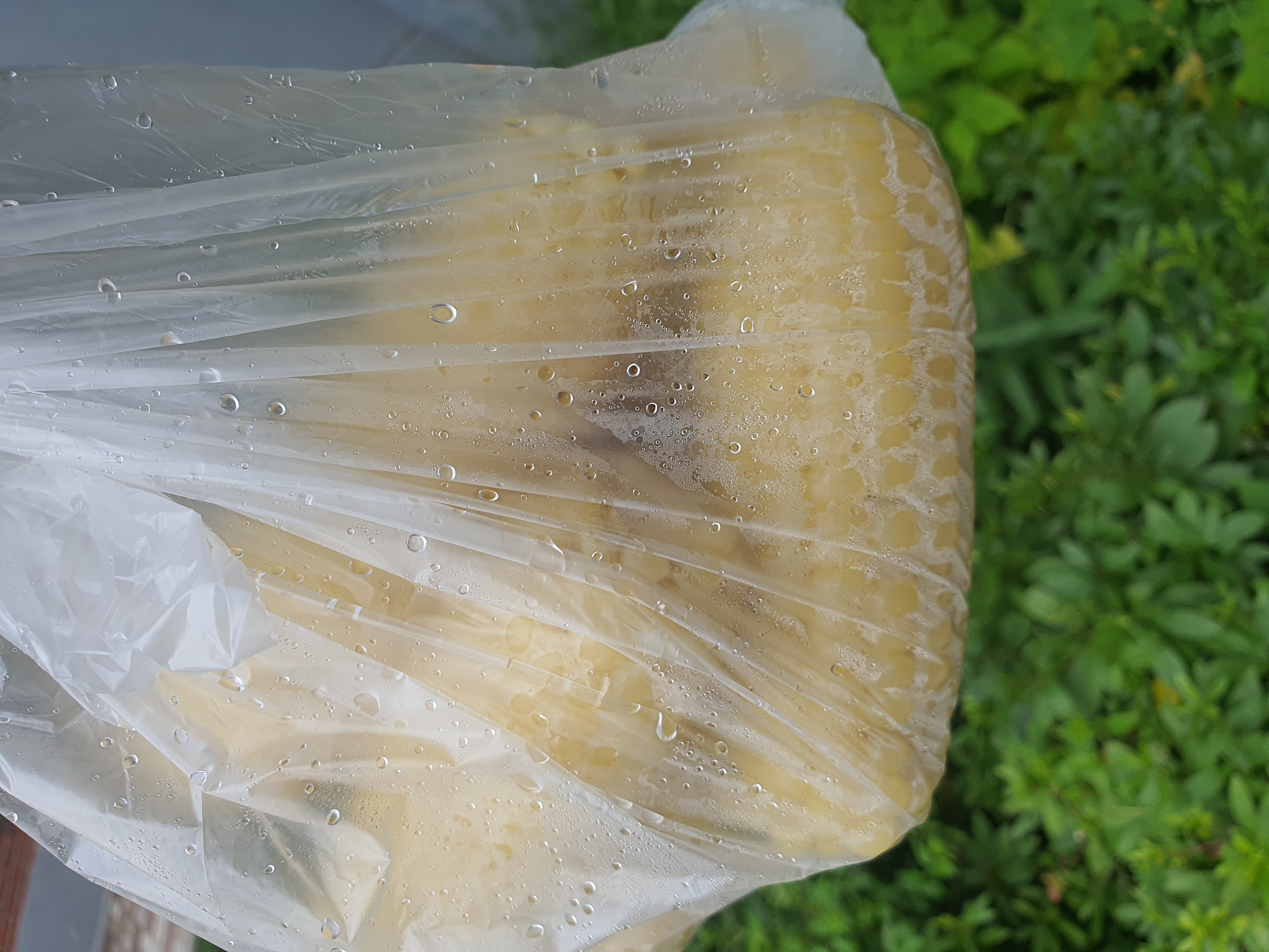 Attachment