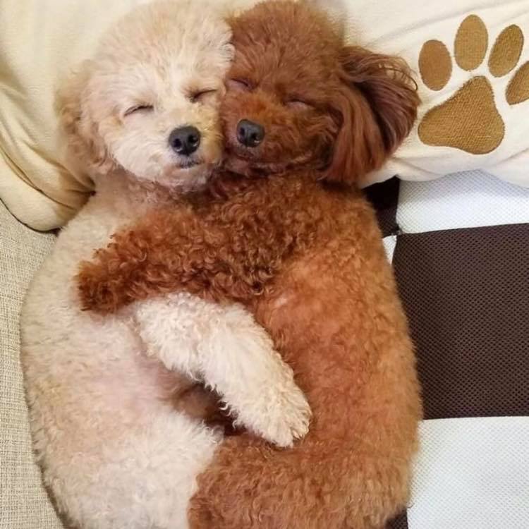 Attachment